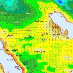 طرح كلى صناعية بالأسواق قريباً