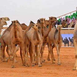 برشلونة يصنع المعجزة ويضرب باريس سان جيرمان بسداسية