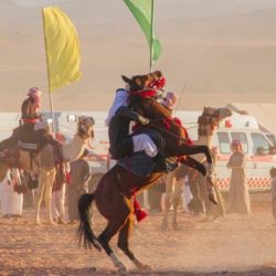 هيئة الهلال الأحمر بمنطقة الرياض تستقبل أكثر من 84 ألف بلاغ في النصف الأول من العام الحالي