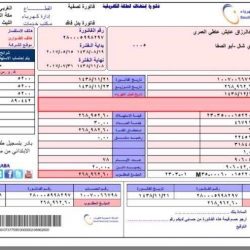 مصدر قضائي أسباني.. “خلية برشلونة” خططت لارتكاب مجزرة باسطوانات غاز