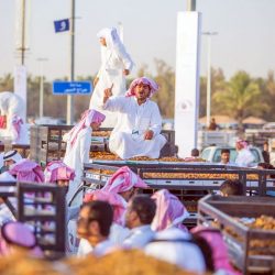 الحكومة اليمنية تعلن عن حزمة إجراءات لاحقة لأحكام القضاء ضد قادة مليشيا الحوثي الإرهابية