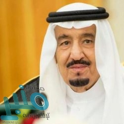 مصر: إحباط تهريب “ثعلب محنط” إلى السعودية