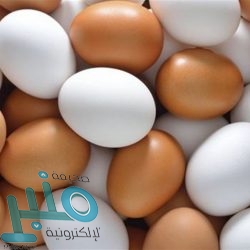 وزارة المالية تصدر تقريرها الربعي الثالث لأداء الميزانية العامة للدولة