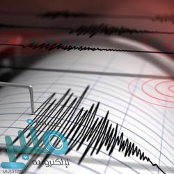 الأمم المتحدة : صواريخ الحوثيين المطلقة على السعودية إيرانية الصنع