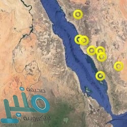 ضبط خمسة من كبار مصنعي وموزعي المنتجات المقلدة والمغشوشة