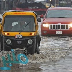 البيئة تعلن : لا إصابات جديدة بإنفلونزا الطيور خلال الـ24 ساعة الماضية