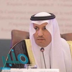 اليمن : مركز الملك سلمان يوزِّع السلال الغذائية في مديرية جيشان