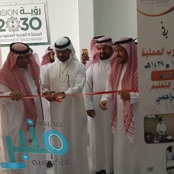 العمل: 6700 جولة تفتيشية على منافذ تأجير السيارات في 3 أسابيع