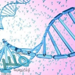 المملكة تدين وتستنكر الهجمات التي استهدفت أفغانستان والصومال