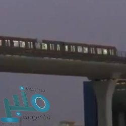 جمرك البطحاء يحبط تهريب 61 ألف كرز من السجائر