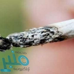 ميزات خفية في تطبيق جيميل على نظام أندرويد لا يستخدمها الكثيرون