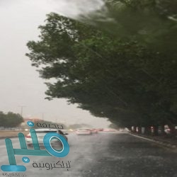 أمير مكة يتوج الفائزين في البطولة الدولية لجمال الجواد العربي