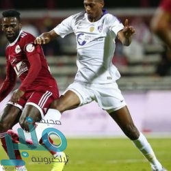 الجيش اليمني يقتل 20 حوثيًا في البيضاء