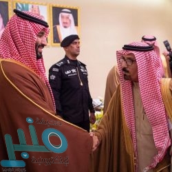 خادم الحرمين الشريفين يتفاعل مع العرضة السعودية خلال حفل استقبال أهالي الحدود الشمالية‎ (فيديو)