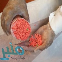 نائب أمير مكة يستقبل رئيس المجلس البلدي في جدة