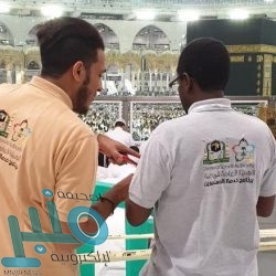 فوائد عين الجمل المهمة للمعرضين لأمراض القلب