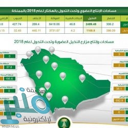 التحالف: الصاروخ الحوثي الذي استهدف مطار أبها إيراني الصنع