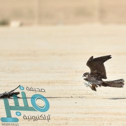 نائب وزير الخارجية يشارك في قمة البوسفور الـ 13