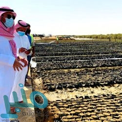 مكة المكرمة تُسجل أعلى درجة حرارة في المملكة اليوم