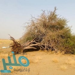 الجهات الأمنية تحقق في مقتل مقيم على يد زميله بالمجاردة