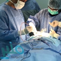 مصادرة ٦٠ طنا من الحطب والفحم المحلي في الكامل