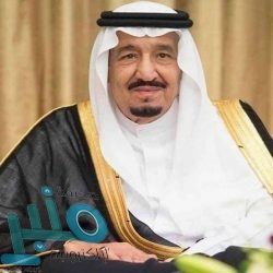 محافظ تنومة يفتتح مهرجان الأرض والتراث في نسخته الأولى⁩