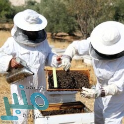 القبض على 4 مقيمِين لتورطهم بالمتاجرة بشرائح الاتصال .. والكشف عن جنسياتهم