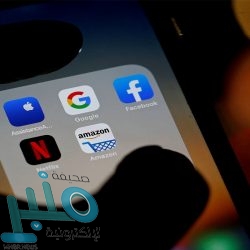 القبض على 4 مقيمين ومخالف قاموا بسرقة 580 رأساً من الماشية بمكة