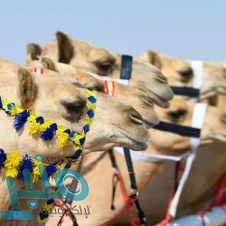 “الغذاء والدواء” تُمكّن المستهلكين من التعرف على المنتجات المحظورة والمحذّر عنها في محال العطارة