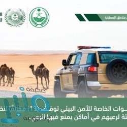 النفط يرتفع فوق 81 دولارًا للبرميل بعد اجتماع أوبك وحلفاؤها