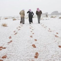 القوات الروسية تسيطر على أكبر المحطات النووية في أوكرانيا