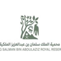 البنك المركزي السعودي يُصرِّحُ لـ 3 شركات تقنية مالية جديدة لتقديم حلول المصرفية المفتوحة للعمل تحت مظلة البيئة التجريبية
