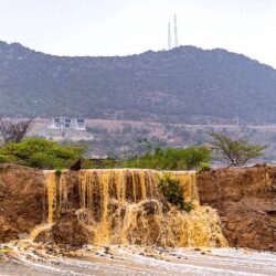 رئيس وزراء باكستان يصل المدينة المنورة