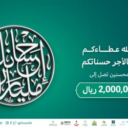 الصناعة والثروة المعدنية تصدر 49 رخصة تعدينية خلال شهر مارس الماضي