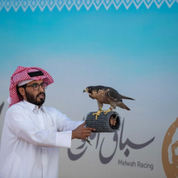 الدوري الإسباني.. جيرونا يفرض التعادل على ريال مدريد