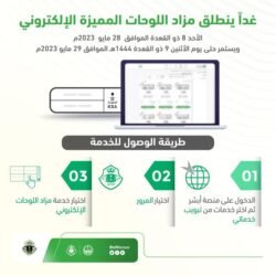 “مسام” ينزع 400.000 لغم وذخيرة غير منفجرة