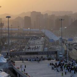 حرس الحدود بجازان يحبط تهريب (250) كيلوجرامًا من نبات القات المخدر