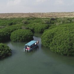 حارس مرمى باريس وزوجته يتعرضان لسطو مسلح