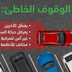 ترقب للقاء ولي العهد ورئيس وزراء اليابان.. مشاريع واستثمارات في “المعادن النادرة”