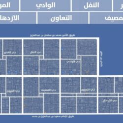 “الانضباط” تعلن تغريم مدرب النصر “كاسترو” بـ 20 ألف ريال.. والكشف عن السبب