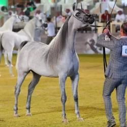 رفع جاهزية البلديات التابعة لأمانة جدة استعدادًا لموسم الأمطار