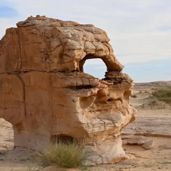 مهرجان الملك عبدالعزيز للصقور يقيم 10 أشواط نهائية للمحليين وصقّاري المستقبل