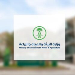 ركلات الترجيح تصعد بنيجيريا لنهائي الأمم الأفريقية على حساب جنوب أفريقيا