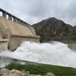 ” المركز الوطني للثروة السمكية”   يدعم  ” التسويق الزراعي”  بحزمة برامج تدريبية