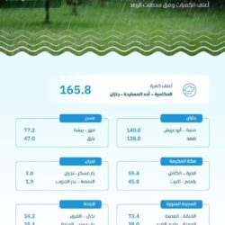 “هيئة السياحة” تعلن تفاصيل جوائز صيف السعودية للتميز 2024