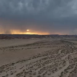 رسمياً.. الهلال يتعاقد مع موهبة بنفيكا البرتغالي