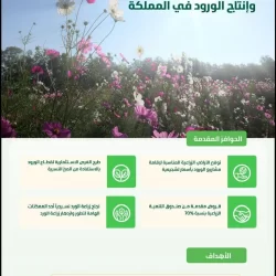 محافظ هيئة الاتصالات والفضاء والتقنية يلتقي رئيس الوكالة الوطنية للاتصالات في البرازيل