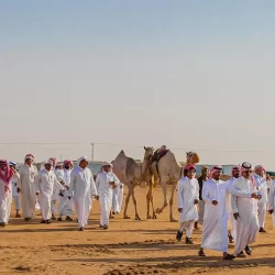 عروض الطائرات تُزيِّنُ سماء مدينة تبوك بمناسبة اليوم الوطني الـ94