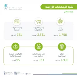 “بيبان 24”.. باب الامتياز التجاري يعزز دعم القطاع بـ 70 علامة مشاركة