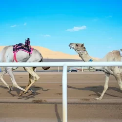 المؤتمر الدولي الرابع لعمليات الإطفاء بالرياض.. منصة شاملة لتعزيز تقنيات مكافحة الحرائق وإدارة الأزمات